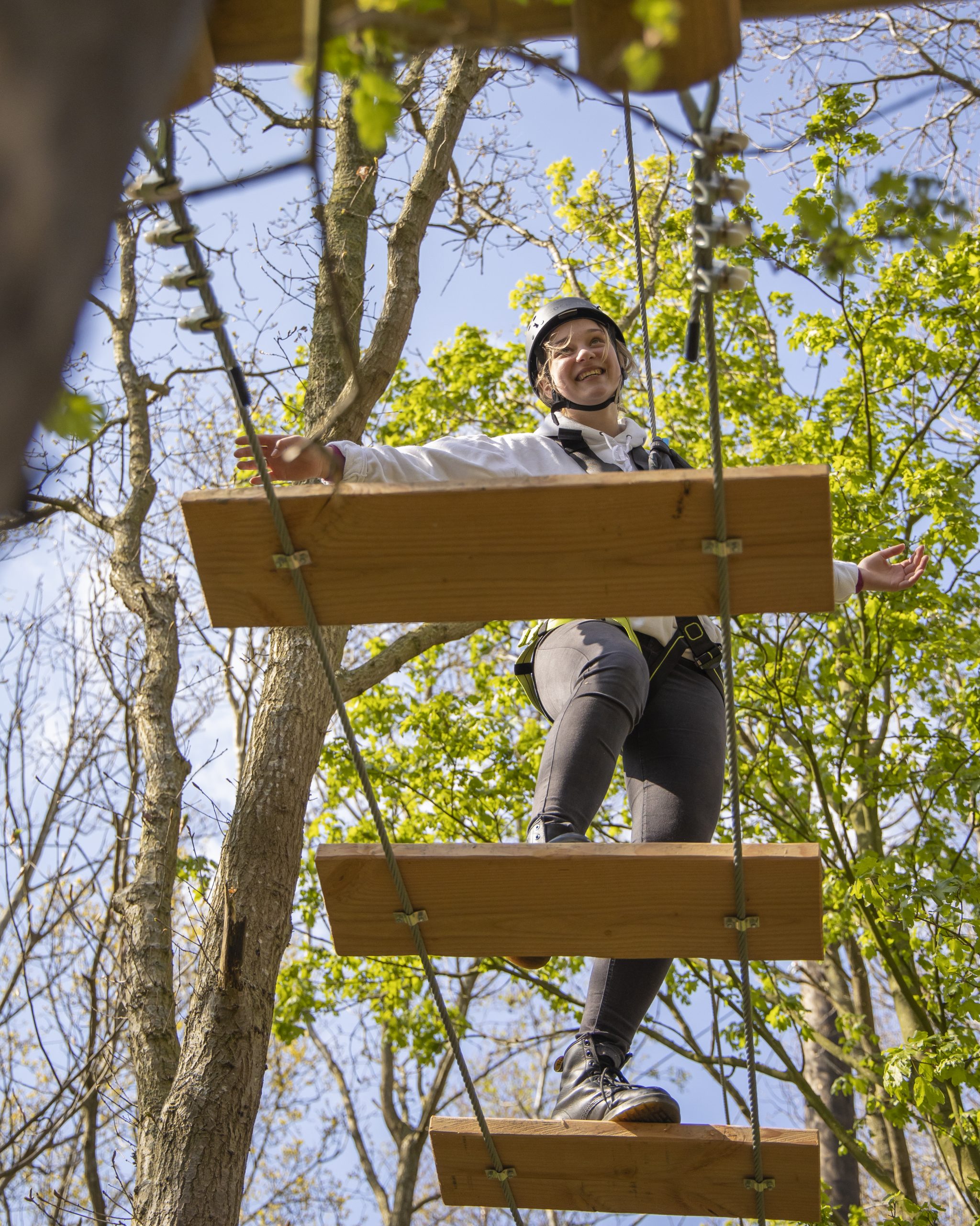 Klimpark klimbos zeeland 1 scaled